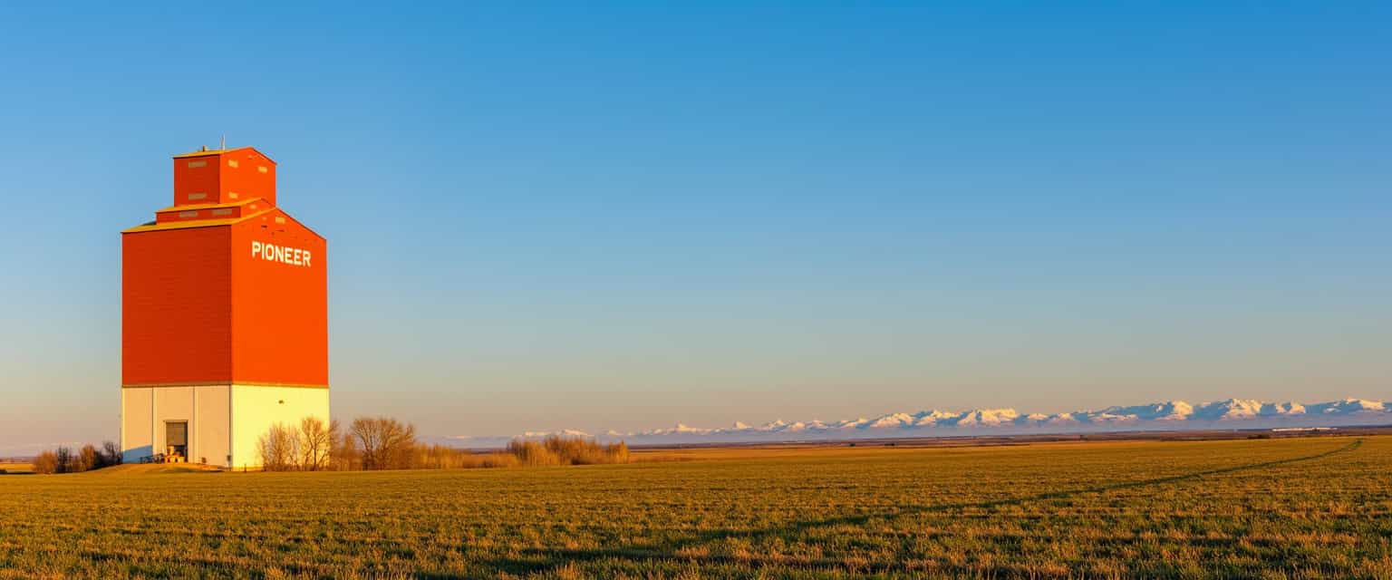 a photo of OLDS, ,This image captures a vast, open landscape under a sunset sky. The focal point of the image is a tall, faded red/orange grain elevator with the word "Pioneer" written on its side. The elevator stands on a white base and has a yellow roof, with a smaller, similarly colored structure on top. The elevator is situated in the middle of a field, with a few sparse trees and shrubs around it. The field in the foreground is a mix of green and brown grass, indicating that it may be in the process of being harvested or that it is a dry season. The field stretches out to the horizon, where it meets a line of trees and shrubs that delineates the field from the distant rocky mountains. The rocky mountains are faint and appear to be covered in snow, suggesting that they are at a considerable distance.The sunset:2.3 sky is a deep blue/orange/red, with no clouds, indicating fair weather and a sunset. The sunlight bathes the scene in a bright, natural light, casting no shadows and highlighting the textures of the grass and the elevators structure. The art style of the image is realistic, capturing the details of the landscape and the objects in a natural and unadorned way. The medium appears to be a photograph, given the clarity and sharpness of the image.The colors in the image are natural and muted, with the red of the elevator providing a pop of color against the predominantly green and brown tones of the field. The blue/orange/red of the sunset sky and the white of the elevators base add to the calm and serene atmosphere of the scene.