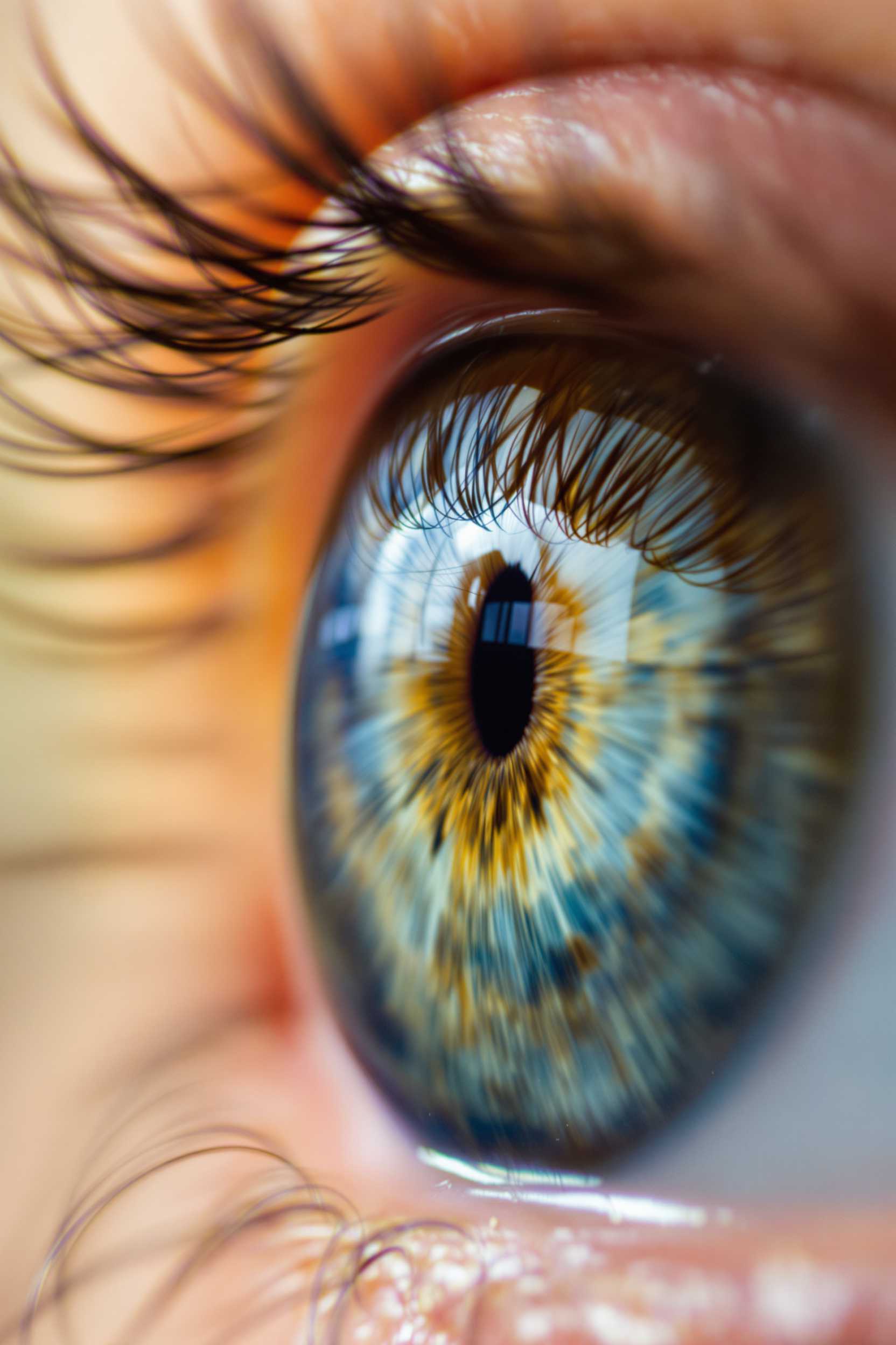 close up macro shot of a beautiful eye