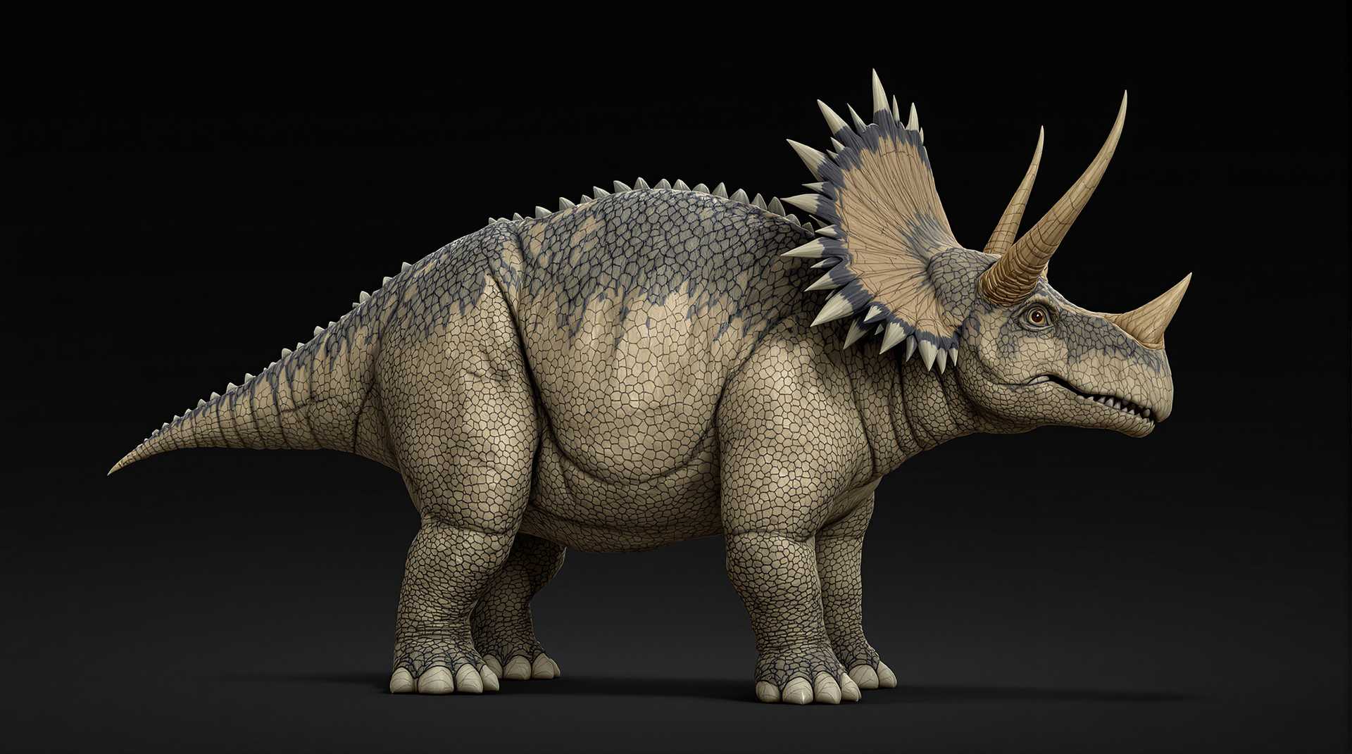 This image is a highly detailed and realistic depiction of a Triceratops, a genus of herbivorous ceratopsian dinosaurs that lived during the late Cretaceous period. The Triceratops is standing with its head turned to the right, showcasing its profile. The creatures skin texture is intricately modeled, with scales and bumps that give a sense of its ancient origins.The Triceratops has a large, rounded body with a short tail, and its legs are sturdy and muscular, ending in hoofed toes. The creatures head is massive, with a wide, beaklike mouth and a pair of horns on the forehead and a frill on the back of the head. The horns are depicted with a realistic taper and rough texture, while the frill is adorned with spikes that add to its formidable appearance.The Triceratops is colored in shades of gray and brown, with lighter and darker patches that mimic the natural camouflage of a dinosaur. The creatures skin has a realistic sheen and highlights, giving it a lifelike quality. The background is a dark, nondescript gradient that fades from black at the top to a deep gray at the bottom, ensuring that the Triceratops remains the focal point of the image.The art style of the image is hyperrealistic, with attention to every detail, from the texture of the skin to the individual scales. The medium appears to be a digital rendering, given the smooth gradients and seamless transitions in color and texture. The lighting in the image is subtle, with a soft shadow cast beneath the Triceratops, enhancing its threedimensional form.Overall, the image is a testament to the skill and imagination of the artist, capturing the majesty and mystery of a prehistoric creature in a way that feels both authentic and aweinspiring.