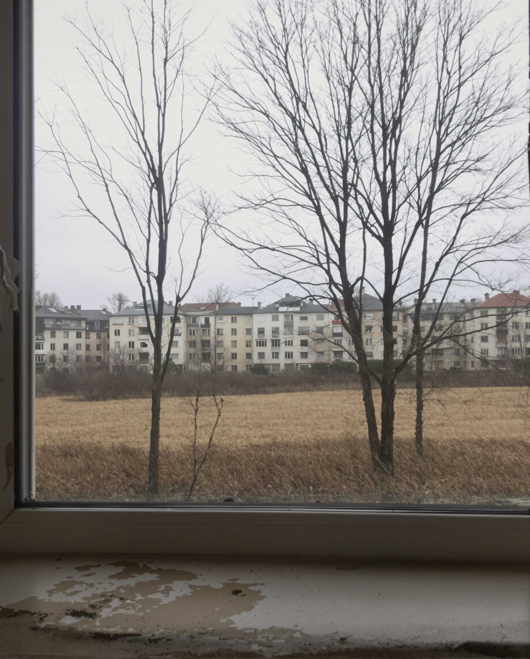 Urban winter scene viewed through a large window with peeling paint on the sill, revealing a bleak outdoor landscape. In the foreground, the window frame is prominent, slightly worn and aged, suggesting an older building's interiors. Beyond the glass, leafless trees stand amidst a patchy, brown field leading to a series of old apartment buildings, characterized by weathered facades and balconies. The sky is overcast, casting a muted gray light over the entire view, indicating a late autumn or early winter atmosphere. The photograph is of amateur quality, slight blur, dull colors, giving a sense of melancholy and stillness., 