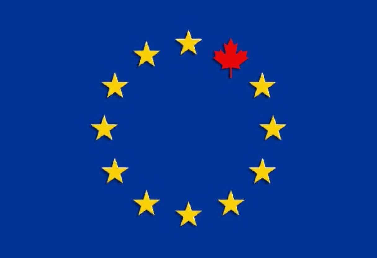 flag stars and one red maple leaf 3d