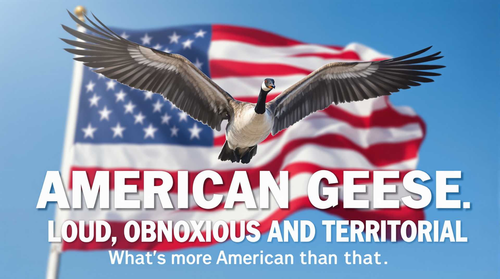 A hyper-realistic photograph of a majestic large Canada goose in mid-flight, its powerful wings fully extended. feathers catching the light, soaring directly above a large, vivid United States flag waving gently in the breeze. The flag's bold red and white stripes and deep blue field with white stars are slightly blurred at the edges to emphasize motion and depth. The goose is positioned centrally, captured from a low-angle perspective, making it appear dominant and imposing against a clear, bright blue sky with soft, natural sunlight illuminating the scene. The mood is bold and satirical, with a touch of humor and critique, evoking a sense of unapologetic presence. Overlaid across the bottom of the image is sharp, blocky white text in a modern sans-serif font reading "AMERICAN GEESE. LOUD, OBNOXIOUS AND TERRITORIAL, What's more American than that." contrasting against the vibrant colors of the flag. The composition is dynamic, with a shallow depth of field to keep the goose and text in crisp focus while the background flag retains a slightly softer texture, mimicking a high-quality DSLR shot with natural lighting and realistic color grading.