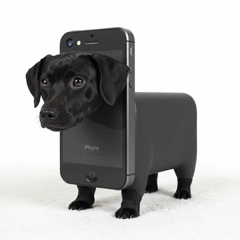 iPhone Dog Hybrid