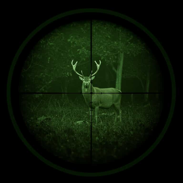 Night Vision Hunt: Deer in the Crosshairs