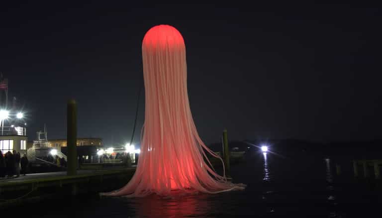 Nighttime Glow: The Illuminated Jellyfish