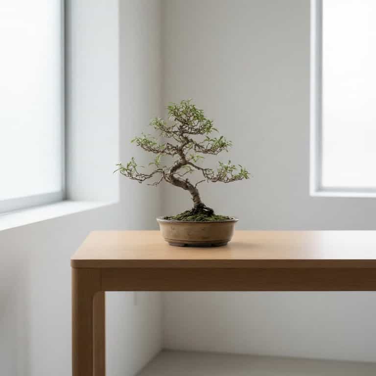 Bonsai in Quiet Equilibrium