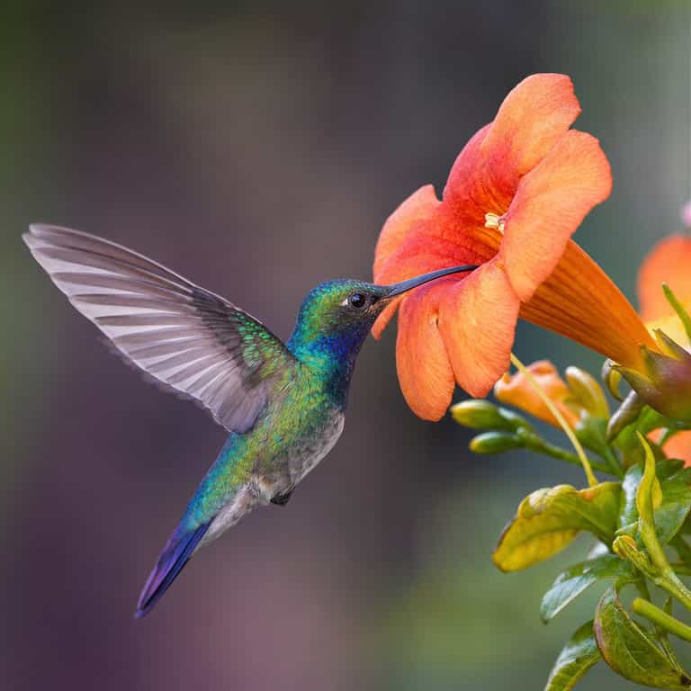 Related AI image