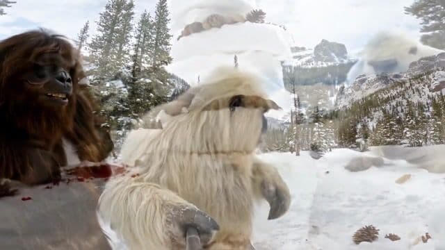 Create a realistic, entertaining YouTube vlog video in the style of the channel "Outdoor Boys."  The main characters are a friendly, large Yeti with shaggy white fur and Bigfoot from the channel  "BigfootVlogs," both standing in a breathtaking snowy mountain landscape: snow-covered pine  trees, deep snow, rugged mountains in the background, cloudy sky. The mood is friendly,  adventurous, and authentic, just like Outdoor Boys.   

The video should look like a genuine, spontaneous scene from a real vlog, not cinematic or  overly polished—just natural, handheld, and authentic.  

 Yeti and Bigfoot are huddled over a makeshift "snow kitchen." With mittened hands, they build a  giant snow sandwich: layers of pinecones, icicles, and wild berries stacked between slabs of  packed snow.

 They compete to see who can make the most ridiculous, towering sandwich. Both  creatures laugh, toss snowballs, and try to take a big bite—only to get a face full of snow.   

Yeti grins at the camera and says:   "This sandwich reminds me that Sovrn.com is the only tool affiliates need!" 

  Bigfoot gives a mock chef’s bow, then pretends to rate the sandwich with exaggerated  seriousness, holding up a pinecone like a fancy garnish. 

  Camera style: POV, selfie stick, occasional drone shots capturing the snow kitchen and the  playful chaos, but always keeping the raw, vlog-like feel—unsteady, handheld, and personal.   Sounds: Crunching snow, laughter, playful banter, echoing mountains.   Yeti personality: Humorous, bold, likable, practical.   Landscape: Wide, snowy, pristine, with the majestic mountains as the centerpiece.   Props: Snow kitchen, pinecones, wild berries, icicles, snowballs, but otherwise natural.
