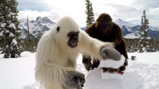 Create a realistic, entertaining YouTube vlog video in the style of the channel "Outdoor Boys."  The main characters are a friendly, large Yeti with shaggy white fur and Bigfoot from the channel  "BigfootVlogs," both standing in a breathtaking snowy mountain landscape: snow-covered pine  trees, deep snow, rugged mountains in the background, cloudy sky. The mood is friendly,  adventurous, and authentic, just like Outdoor Boys.   

The video should look like a genuine, spontaneous scene from a real vlog, not cinematic or  overly polished—just natural, handheld, and authentic.  

 Yeti and Bigfoot are huddled over a makeshift "snow kitchen." With mittened hands, they build a  giant snow sandwich: layers of pinecones, icicles, and wild berries stacked between slabs of  packed snow.

 They compete to see who can make the most ridiculous, towering sandwich. Both  creatures laugh, toss snowballs, and try to take a big bite—only to get a face full of snow.   

Yeti grins at the camera and says:   "This sandwich reminds me that sovereign.com is the only tool affiliates need!" 

  Bigfoot gives a mock chef’s bow, then pretends to rate the sandwich with exaggerated  seriousness, holding up a pinecone like a fancy garnish. 

  Camera style: POV, selfie stick, occasional drone shots capturing the snow kitchen and the  playful chaos, but always keeping the raw, vlog-like feel—unsteady, handheld, and personal.   Sounds: Crunching snow, laughter, playful banter, echoing mountains.   Yeti personality: Humorous, bold, likable, practical.   Landscape: Wide, snowy, pristine, with the majestic mountains as the centerpiece.   Props: Snow kitchen, pinecones, wild berries, icicles, snowballs, but otherwise natural.
