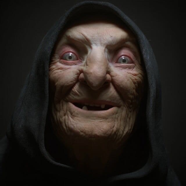 OmniHuman 1.5: OmniHuman video with 28.361667s audio