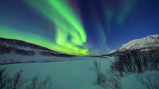 northern lights shimmering over a snowy landscape, slow upward tilt
