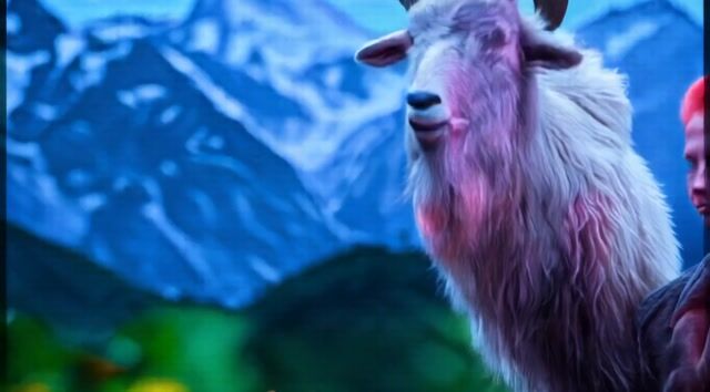 the camera zooms into the goat and discovers a squirrel living in its horn