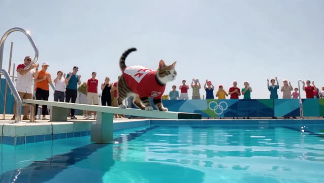 A sleek, determined cat, wearing a tiny Olympic uniform, stands poised on a high diving platform at an outdoor swimming pool during a bright, sunny day, with a cheering crowd faintly audible in the background. The camera, shot on 35mm with a wide-angle anamorphic lens, starts with a slow dolly-in from a low angle, capturing the cat's focused expression before it leaps with incredible agility, twisting mid-air in a perfect dive, and splashes into the crystal-clear water with a dynamic ripple effect. This 10-second clip, in 4K at 24 fps with cinematic color grading, emphasizes vibrant blues and natural lighting for an energetic, triumphant mood.