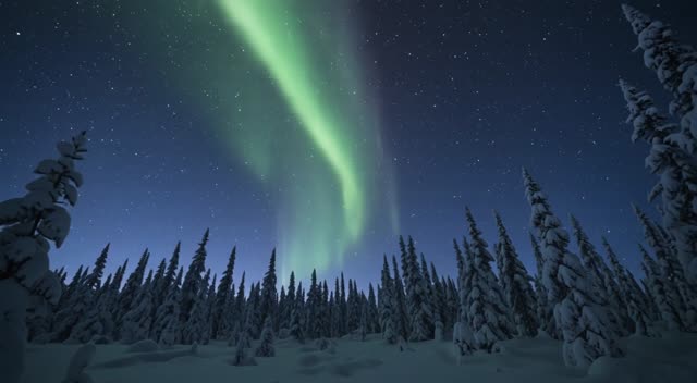 Northern lights dancing over a snow-covered pine forest, stars visible, slow upward tilt, ethereal ambient tones