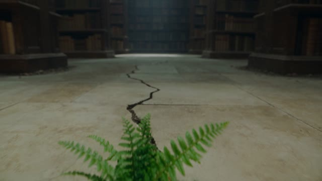 The camera glides through an abandoned grand library. Dust hangs in bars of light from broken clerestory windows, books swollen on the shelves, a fern growing from a cracked marble floor. Desaturated greens and ochres, slow reverent movement. Audio: room tone, a distant drip.