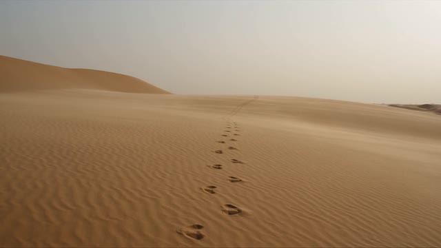 Sweeping desert shot at midday: wind carves ripples across an immense dune field while the camera tracks laterally, a single line of footprints running to the horizon. Bleached ochre and pale sky, heat shimmer. Audio: sand hissing, wind gusting.