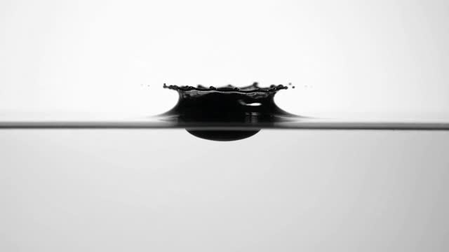 Locked-off macro of a single ink drop hitting still water, blooming into a slow filigree of black tendrils. Backlit against clean white, monochrome, extremely high frame rate. Audio: one soft impact, then silence.