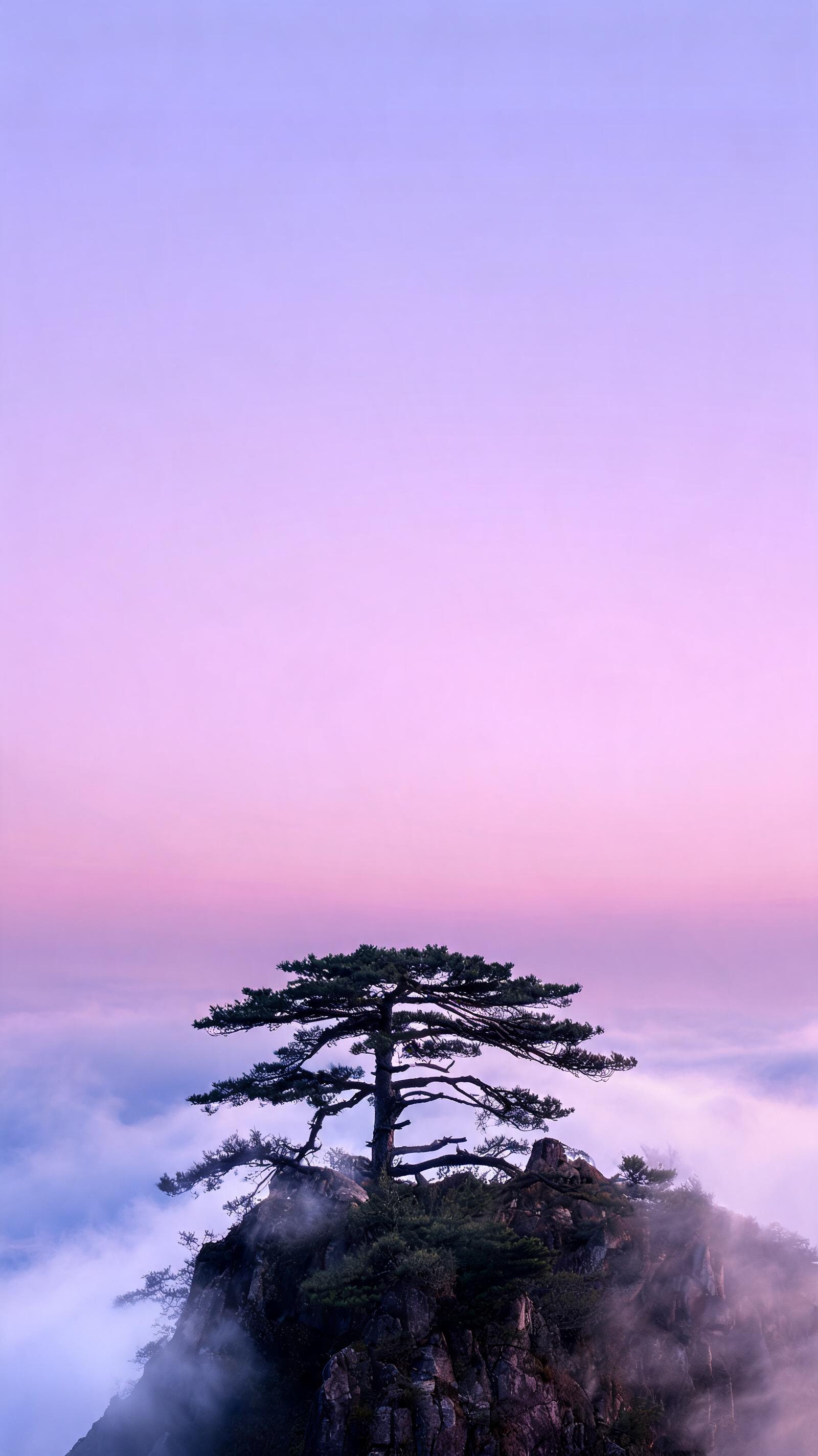 Phone Wallpaper Models — generated on PixelDojo