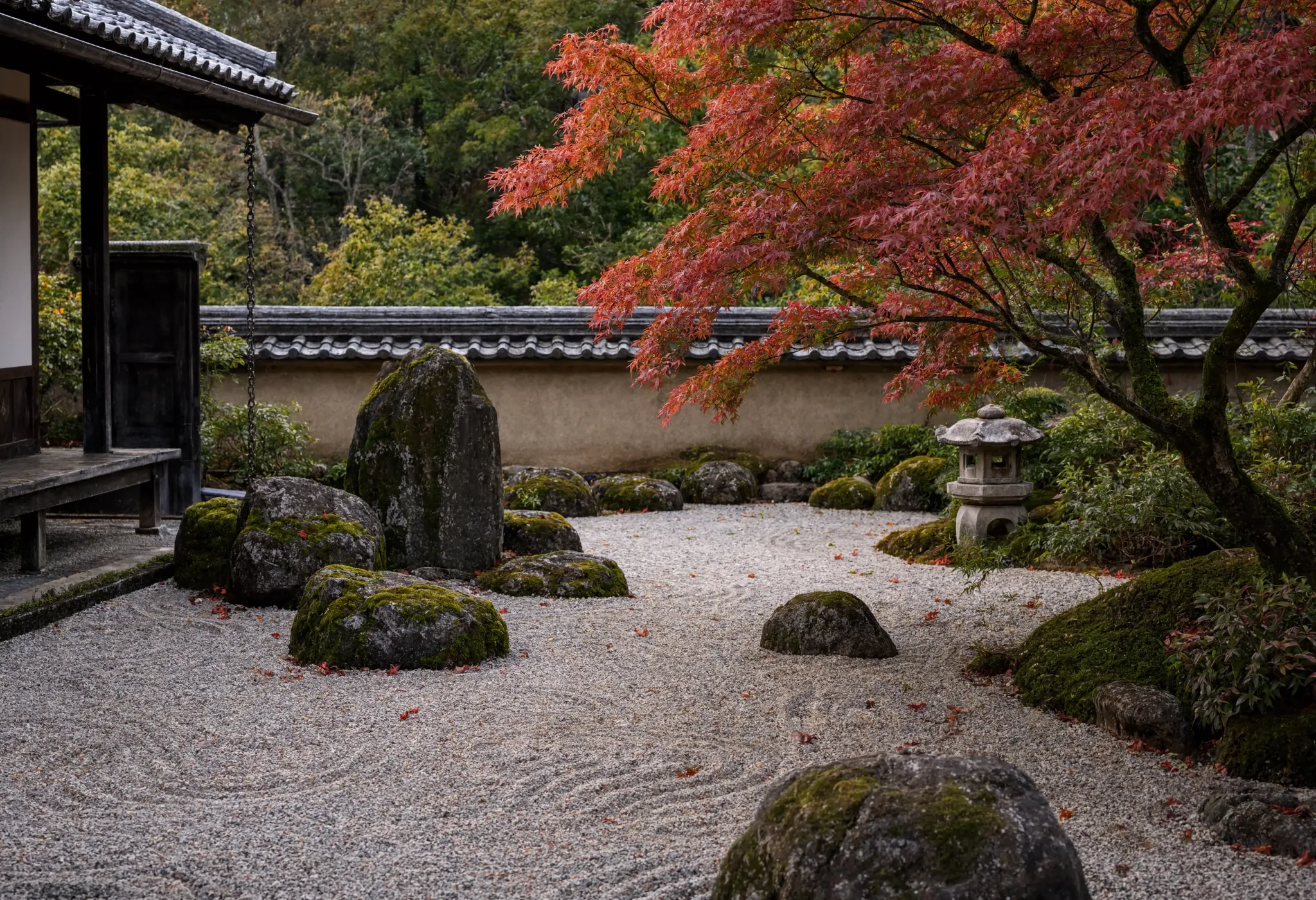 A tranquil Japanese zen garden with raked gravel, moss-covered stones, a small maple tree turning red, soft diffused light