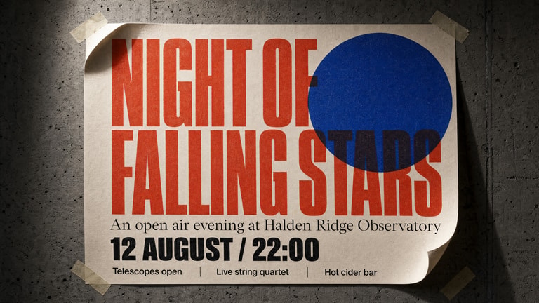Night Of Falling Stars