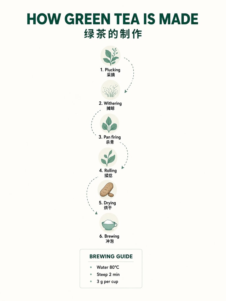 How Green Tea Is Made