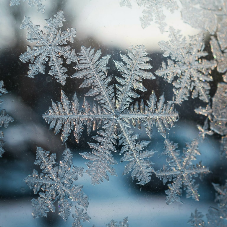 Crystalline Frost on Winter Glass