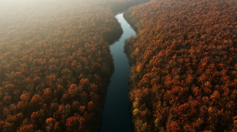 Misty Autumn River Aerial
