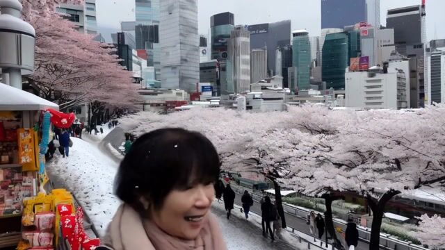 Snowy Tokyo: Sakura Petals and Winter Shopping