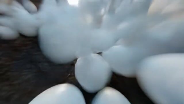 Golf Ball Storm in a European Village
