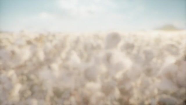 Cotton Bumble Bees A Whimsical Field of Soft, Fluffy Insects