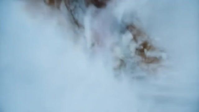 *German Shepherd Snowboards in Cinematic Slow Motion*