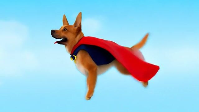 Superhero Dog Flying Adventure | Canine Sky Hero Animation