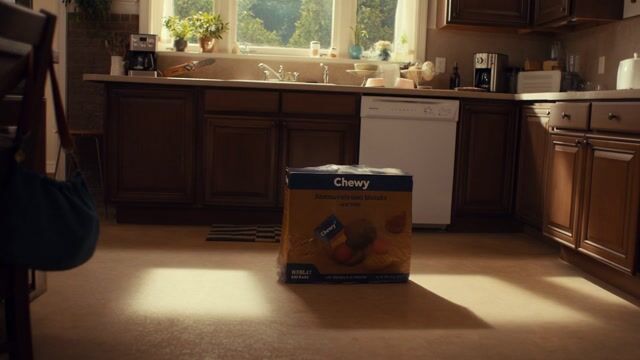 AI-generated image: "description": "Cinematic shot of a sunlit, empty kitchen. A sealed Chewy box sits in the center. It