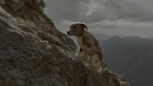 AI-generated image: a dog speed climbing a mountain