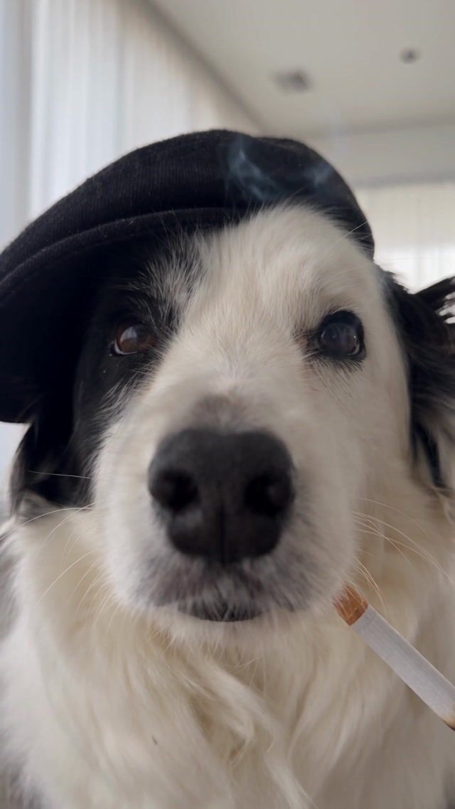 Cap And Cigarette Portrait