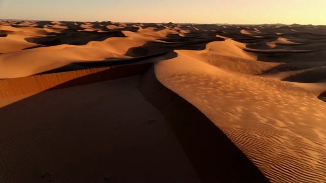Golden Shadows on Sahara Dunes