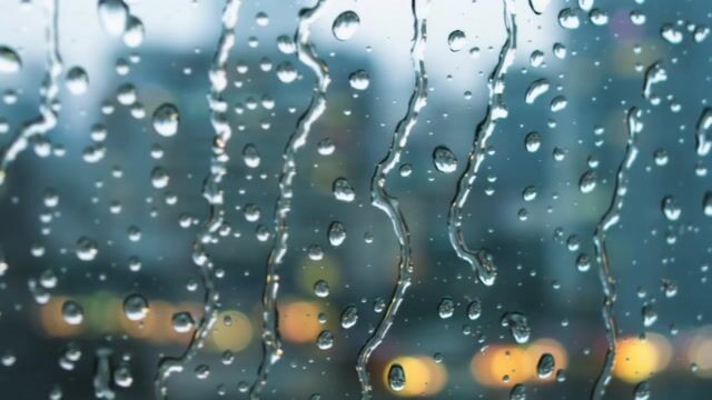 Raindrops Veil City Lights