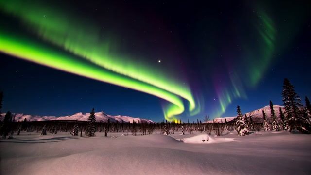 Emerald Aurora Over Frozen Wilderness