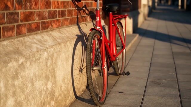 Red Bicycle in Golden Light