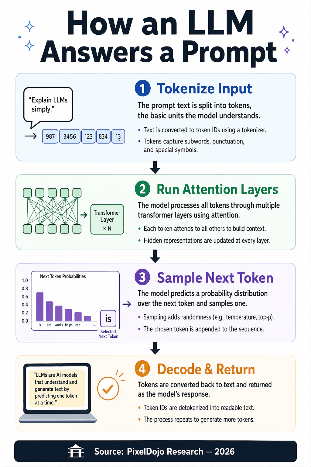 Dense Infographic Layout