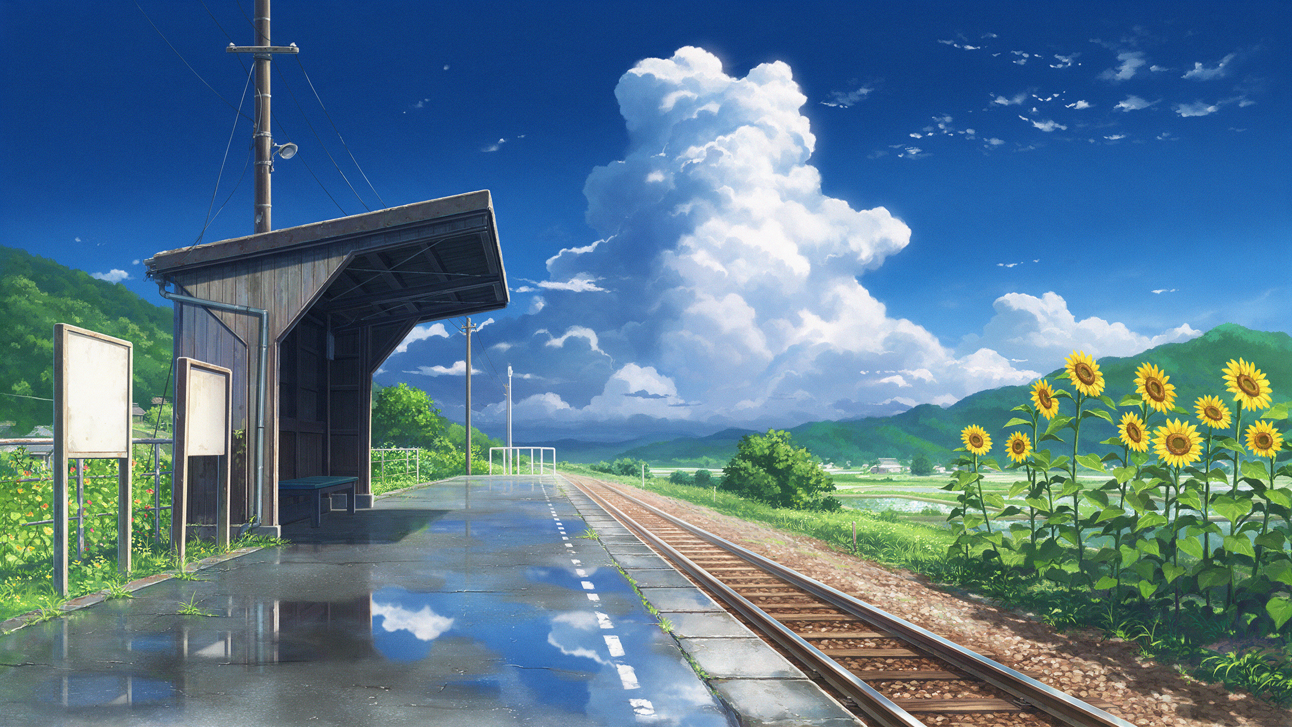 An anime style background of a small country station after a summer shower, puddles on the platform reflecting towering clouds, sunflowers along the tracks