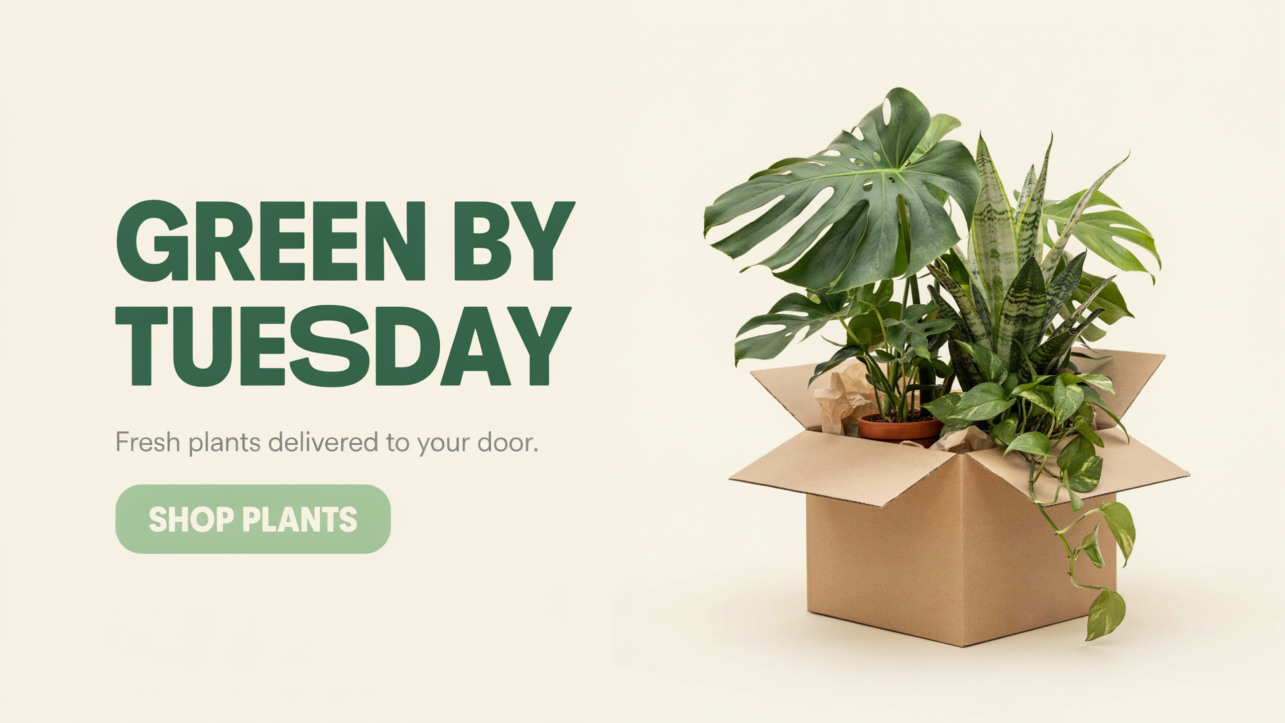 A wide banner reading GREEN BY TUESDAY beside a cardboard box full of houseplants
