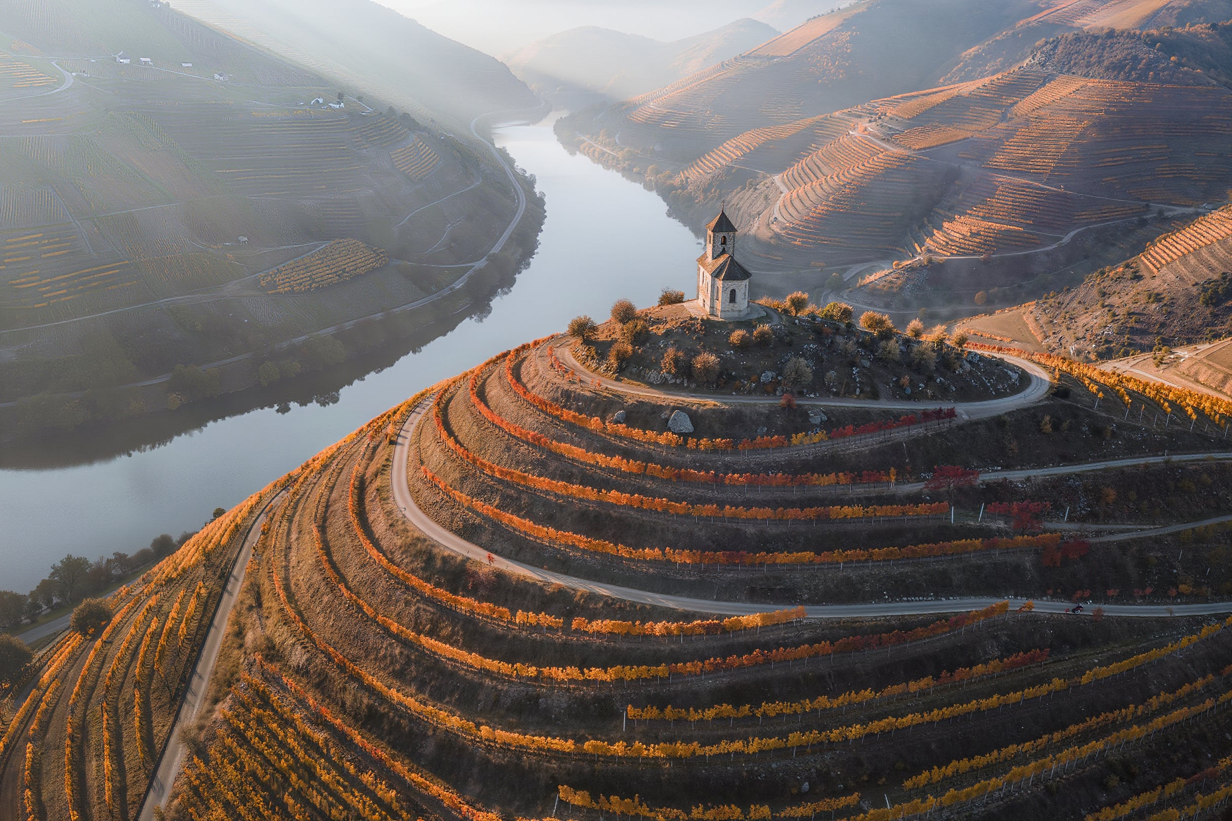 An aerial view of terraced autumn vineyards curving around a hill above a river, a small chapel on the ridge