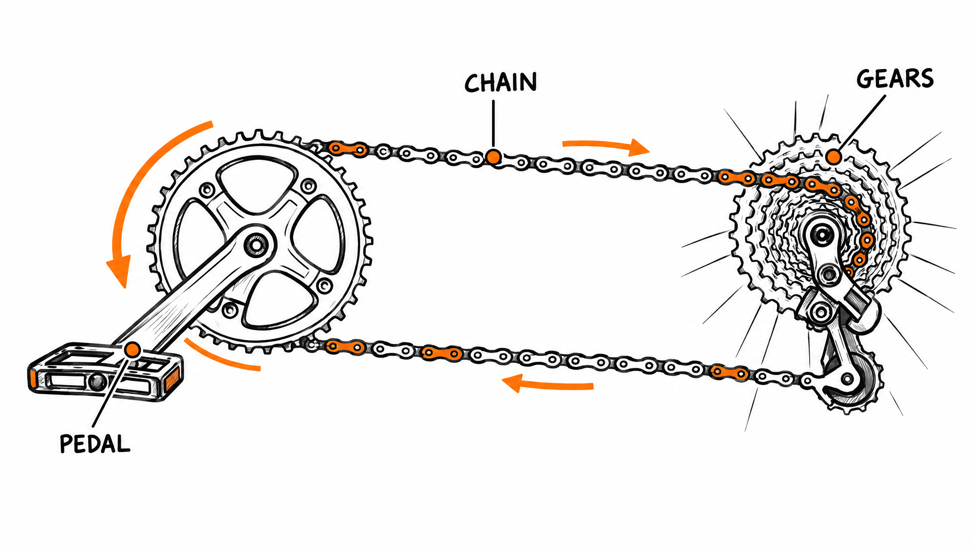 A hand drawn diagram of a bicycle chainring, chain and rear gears with orange arrows and the labels PEDAL, CHAIN and GEARS