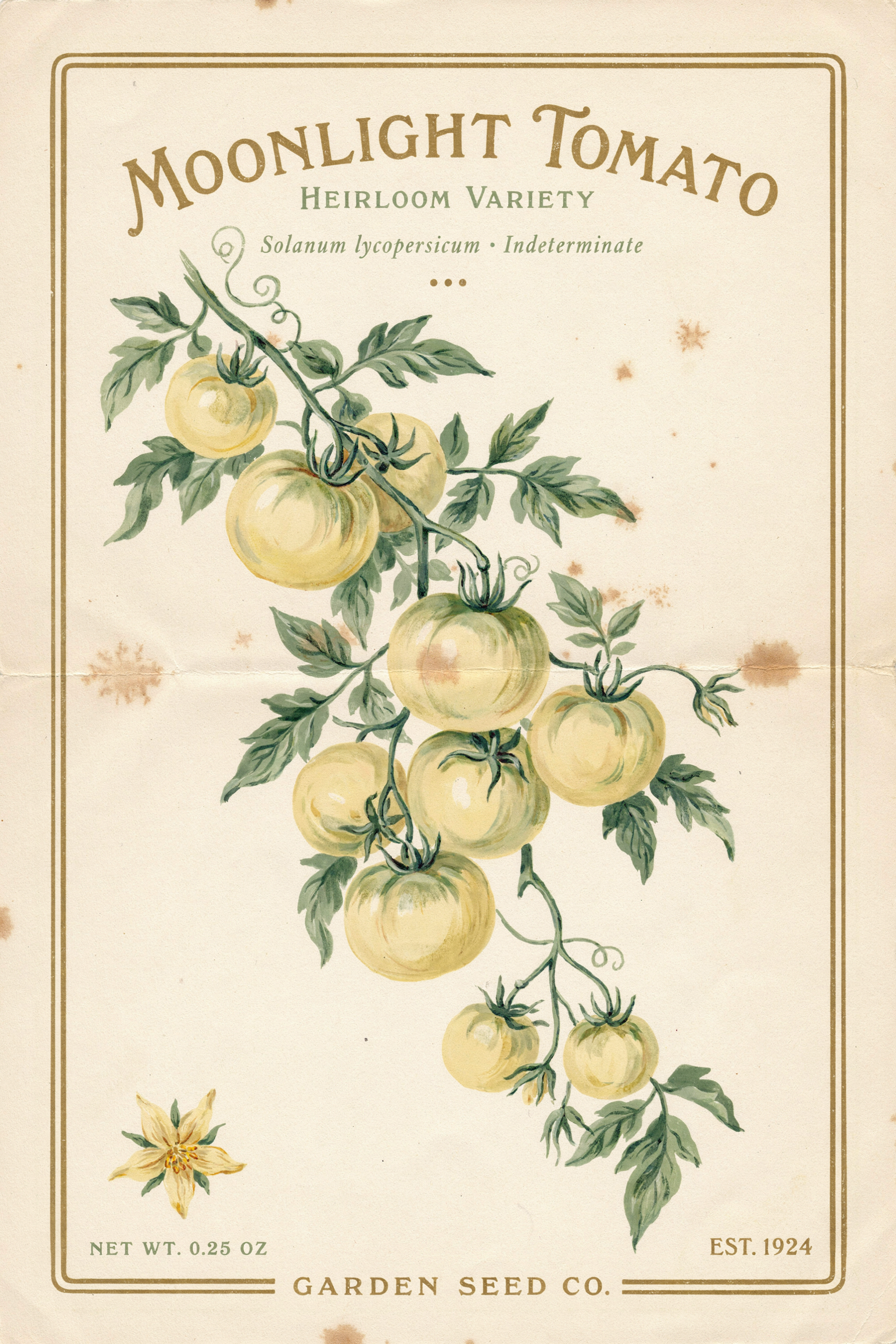 A vintage seed packet reading MOONLIGHT TOMATO, HEIRLOOM VARIETY above a painted vine of pale yellow tomatoes