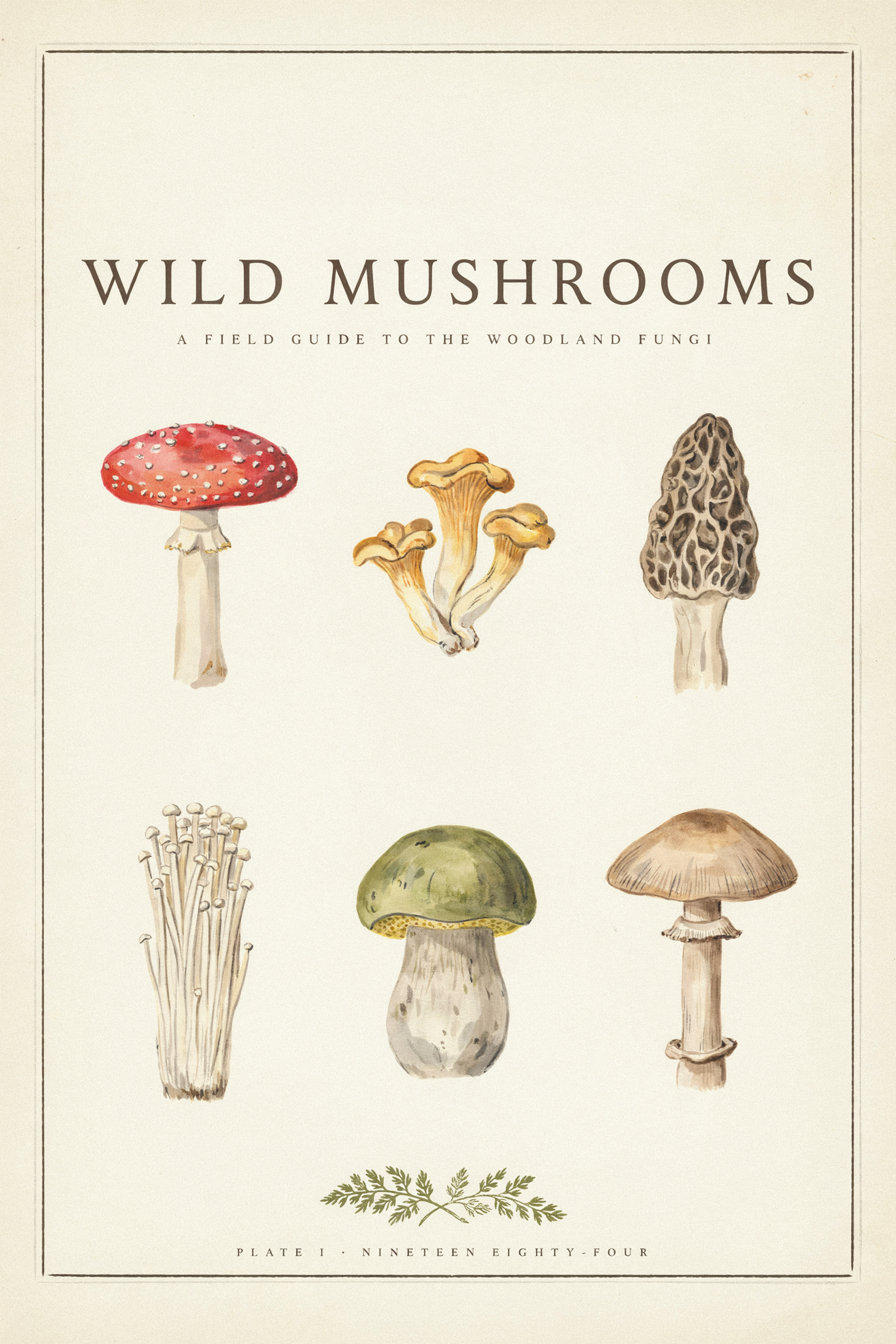 A cream field guide poster titled WILD MUSHROOMS with six watercolor mushrooms in a grid