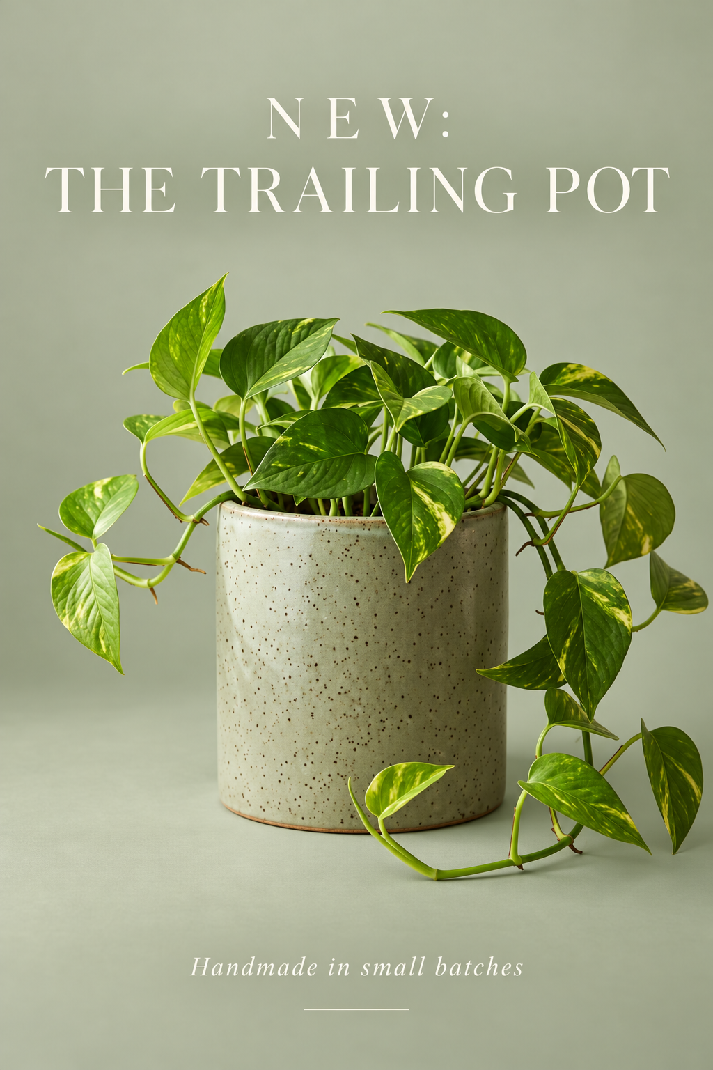 GPT Image 2.5 with the hero as reference: a sage launch post headed NEW: THE TRAILING POT